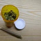 Business 9 image BAYQUEEN DELIVERY Weed Delivery in Oakland CA