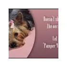 Business 1 image BEASTIE BOUTIQUE Pet Services in Vancouver WA