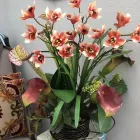 Business 5 image BEAUX TRESOR Jewelers & Jewelry Stores in San Antonio TX