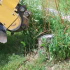 Business 5 image BEDFORD TREE SERVICE COMPANY Tree Service in Bedford TX