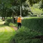 Business 2 image BEDFORD TREE SERVICE COMPANY Tree Service in Bedford TX