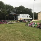 Business 12 image BEELINE BIKES POWERED BY CROSSROAD BIKES Bicycle Rental in San Antonio TX