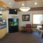 Business 2 image BEELMAN DENTAL in Bedford TX