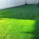 Business 3 image BELL'S LANDSCAPING Landscape Contractors in San Diego CA