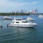 Business 3 image BELLA BOAT AND YACHT CHARTER RENTAL Boat Rentals in Miami FL
