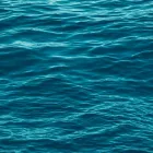 Business 4 image BELLA BOAT AND YACHT CHARTER RENTAL Boat Rentals in Miami FL