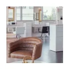 Business 2 image BELLA RINOVA in Houston TX