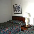 Business 7 image BELMONT MOTEL Motels in Seaside Heights NJ