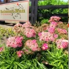 Business 1 image BELMONT RUN APARTMENTS rental listings in Lexington KY