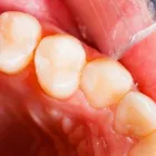 Business 4 image BERGER DENTAL GROUP Dentist in Columbia SC