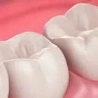 Business 5 image BERGER DENTAL GROUP Dentist in Columbia SC