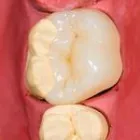 Business 16 image BERGER DENTAL GROUP Dentist in Columbia SC