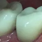 Business 18 image BERGER DENTAL GROUP Dentist in Columbia SC