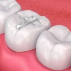 Business 26 image BERGER DENTAL GROUP Dentist in Columbia SC