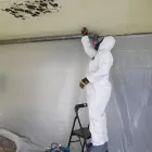 Business 6 image BEST AMERICAN BUILDERS INC Mold Testing & Removal in Sherman Oaks CA
