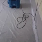 Business 7 image BEST AMERICAN BUILDERS INC Mold Testing & Removal in Sherman Oaks CA