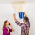 Business 9 image BEST AMERICAN BUILDERS INC Mold Testing & Removal in Sherman Oaks CA