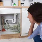Business 24 image BEST AMERICAN BUILDERS INC Mold Testing & Removal in Sherman Oaks CA