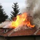 Business 26 image BEST AMERICAN BUILDERS INC Mold Testing & Removal in Sherman Oaks CA