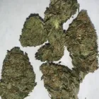 Business 4 image BEST BUDZ DISPENSARY Cannabis Dispensaries in Oklahoma City OK