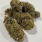 Business 7 image BEST BUDZ DISPENSARY Cannabis Dispensaries in Oklahoma City OK