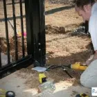 Business 1 image BEST GATE REPAIR & SERVICES in Pasadena TX