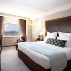 Business 2 image BEST IN CLASS MAIDS Moving in Moving out Cleaning in Plano TX