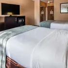 Business 12 image BEST WESTERN DETROIT LIVONIA Hotel in Livonia MI