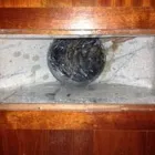 Business 1 image BETTER AIR NORTHWEST Air Quality Consultant in Vancouver WA