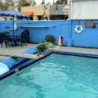 Business 3 image BEVERLYWOOD SWIM SCHOOL INC Swimming Instruction in Los Angeles CA