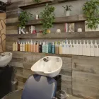 Business 4 image BIBO SALON Shampoo in Oakland CA
