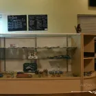 Business 11 image BIG BUDS CANNABIS CO. in Oklahoma City OK