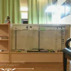 Business 12 image BIG BUDS CANNABIS CO. in Oklahoma City OK