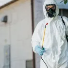 Business 1 image BIG D TERMITE REMOVAL EXPERTS in Dallas TX