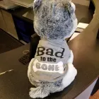 Business 4 image BIG FROG CUSTOM T-SHIRTS & MORE OF SAN ANTONIO NW Tailors in San Antonio TX