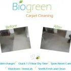Business 2 image BIOGREEN ORGANIC CARPET CLEANERS Carpet Cleaning in San Diego CA