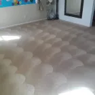 Business 4 image BIOGREEN ORGANIC CARPET CLEANERS Carpet Cleaning in San Diego CA