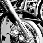 Business 3 image BLACK GOLD BEEMERS Transportation Services in Dallas TX