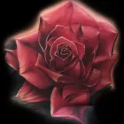 Business 6 image BLACK MAGIC TATTOO Tattoos & Piercings in Oklahoma City OK