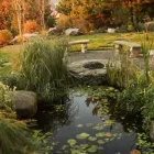 Business 2 image BLESSING LANDSCAPES Landscape Company in Portland OR