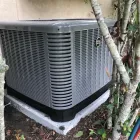 Business 4 image BLUE MARLIN MAINTENANCE & SERVICES General Contractors in Conroe TX