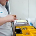 Business 1 image BLUEFROG PLUMBING + DRAIN OF SAN ANTONIO Plumbers in San Antonio TX