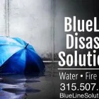 Business 1 image BLUELINE DISASTER SOLUTIONS, INC. Mold Testing & Removal in New Hartford NY