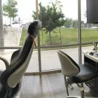 Business 7 image BLVD DENTISTRY & ORTHODONTICS- RIVERSIDE in Austin TX