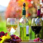 Business 2 image BOBS LIQUOR Wine Store in Fullerton CA