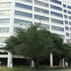 Business 6 image BODY INTERGRATIONS CHIROPRACTIC Massage Therapists in Houston TX