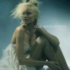 Business 8 image BOUDOIR PHOTOGRAPHY BY YOUR HOLLYWOOD PORTRAIT Photographers in Brooklyn NY