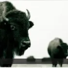 Business 2 image BRANCH & HURTT LAW FIRM, P.C. Family Law Attorneys in Oklahoma City OK