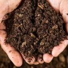 Business 5 image BRANCHING OUT TREE SERVICE Tree Trimming Service in Tucson AZ