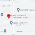 Business 2 image BRANDI ONTHEGO EL DORADO OATES PRARIE NOTARY SERVICES in Houston TX